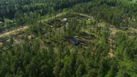 Борское ленинградская область