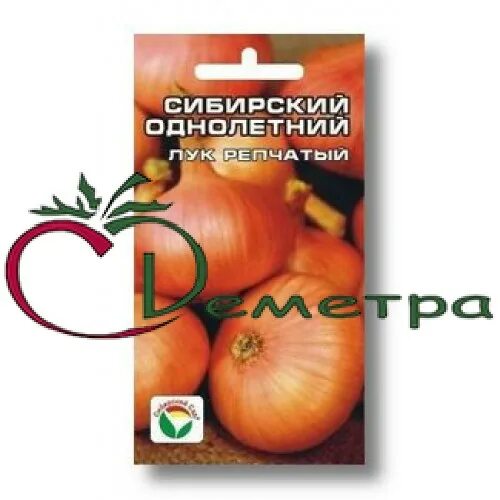 Лук сибирский однолетний описание. Лук однолетний. Лук севок сибирский однолетний. Лук сибирский золотистый. Лук сибирский однолетний.