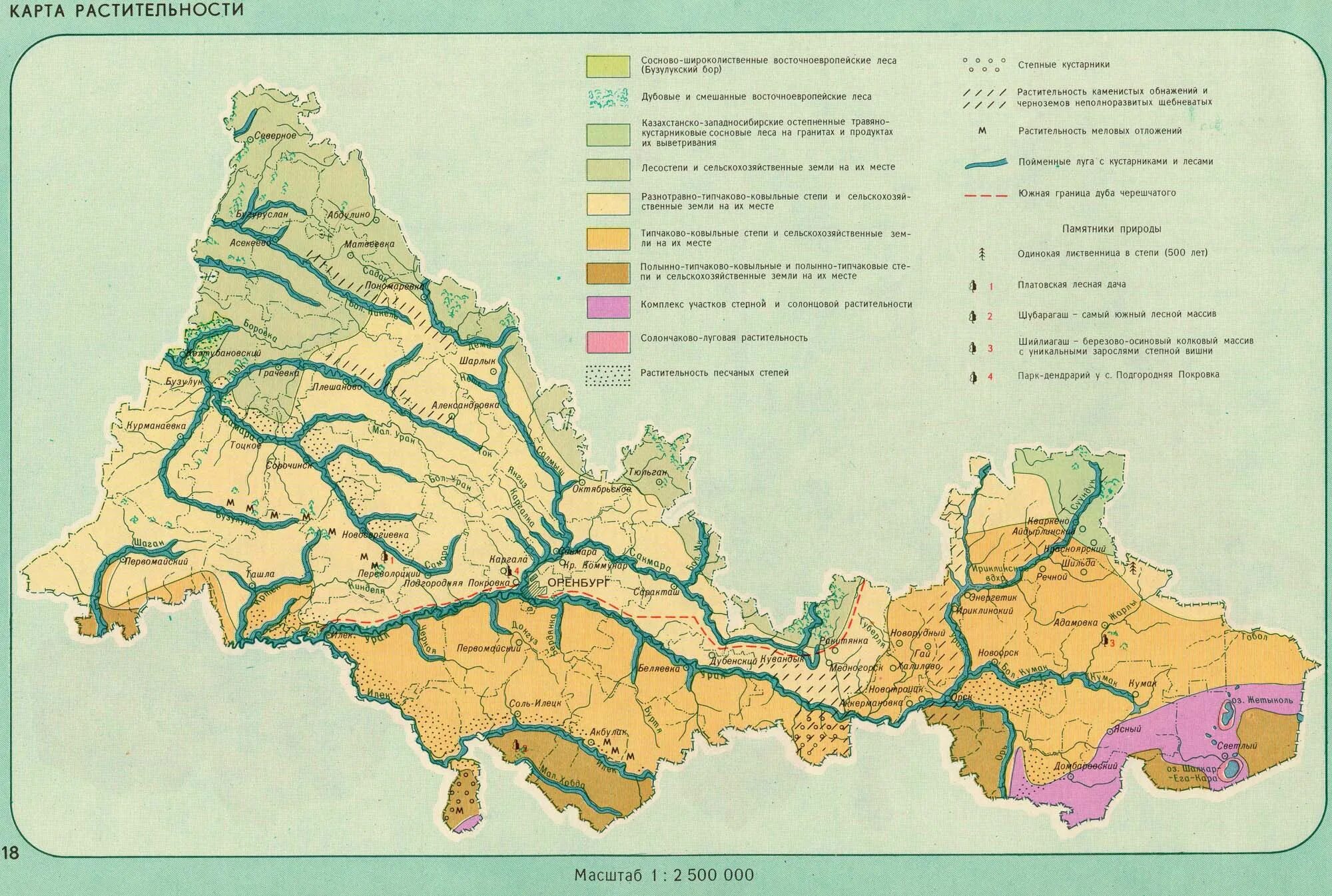Почвы территории урала. Ландшафтная карта Оренбургской области. Карта Оренбургской области с реками. Карта природных зон Оренбургской области. Карта Оренбургской области с городами и реками.