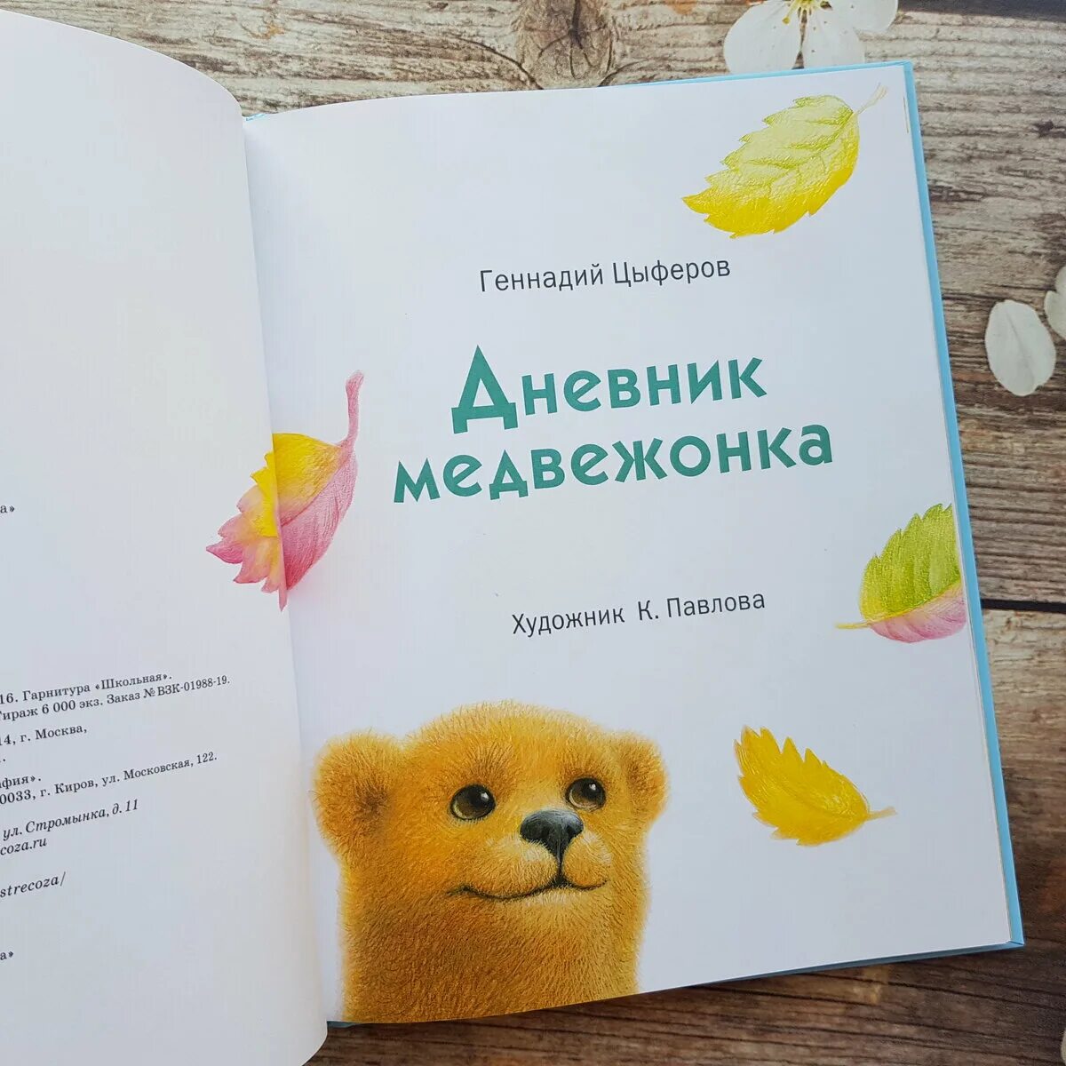 Цыферов читательский дневник. Цыферов дневник медвежонка. Дневник медвежонка книга.