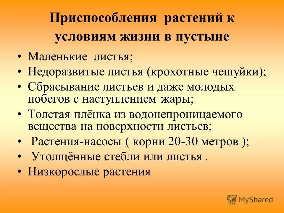 приспособления растений в пустыне. растения живущие в пустыне. приспособление к условиям пустыни. приспособления растений в пустыне. приспособление к условиям пустыни.