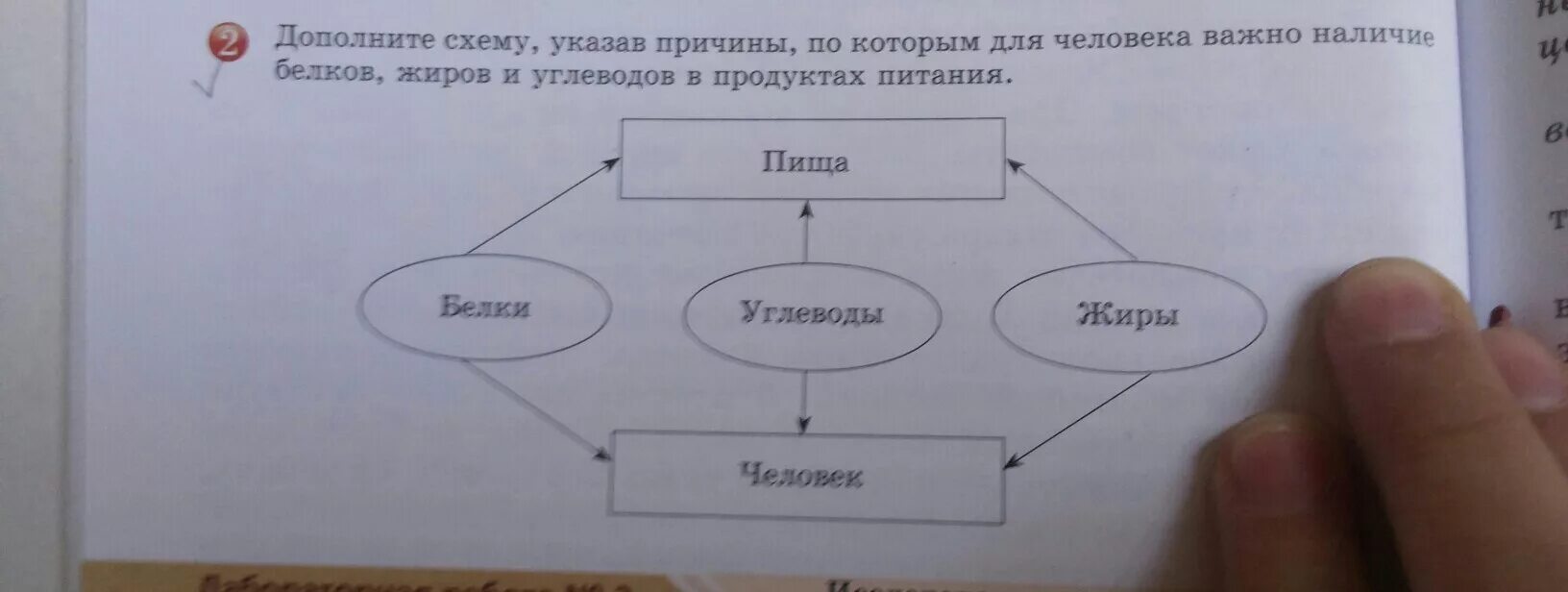 Дополни схему значение питания Объект и его свойства. Матвеева Челак. Информатика. Рабочая тетрадь 4 класс 1 ч