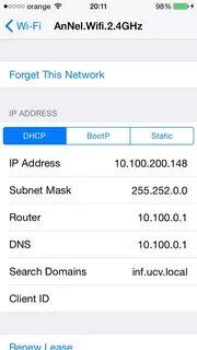 Dns на айфон где