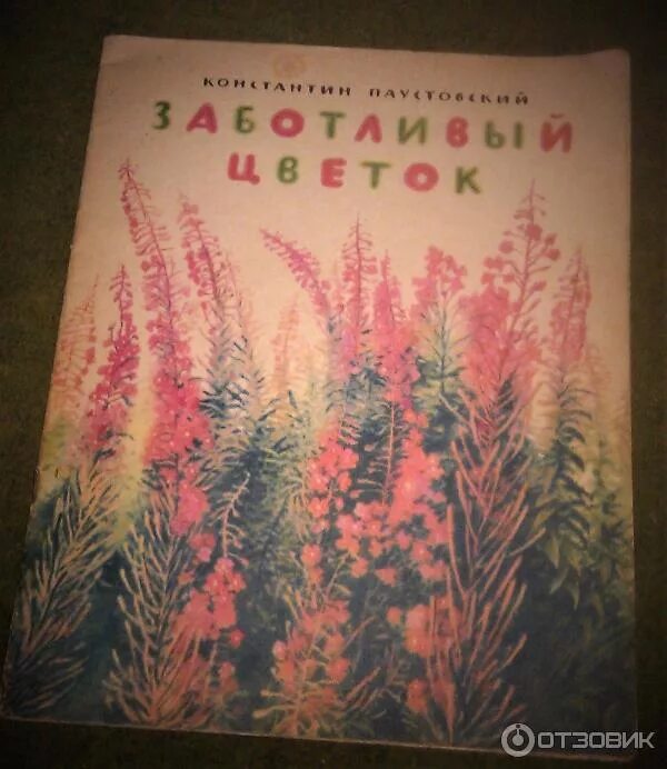 Цветы на паустовского. Заботливый цветок Паустовский. Паустовский заботливый цветок кипрей. Паустовский заботливый цветок иллюстрации.