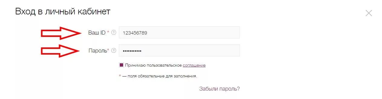 Карта нова личный кабинет. KDL лаборатория личный кабинет. Персональный кабинет. Кнопка личный кабинет. Как зайти в личный кабинет КДЛ.