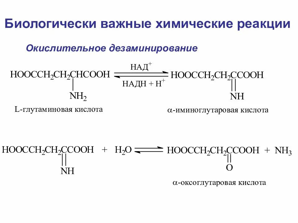 Реакция окислительного дезаминирования. Непрямое окислительное дезаминирование фенилаланина. Дезаминирование триптофана реакция. Окислительное дезаминирование Серина. Дезаминирование триптофана in vivo.