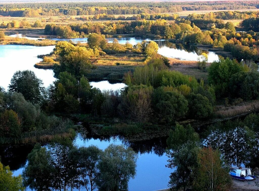 Человек и его окрестности