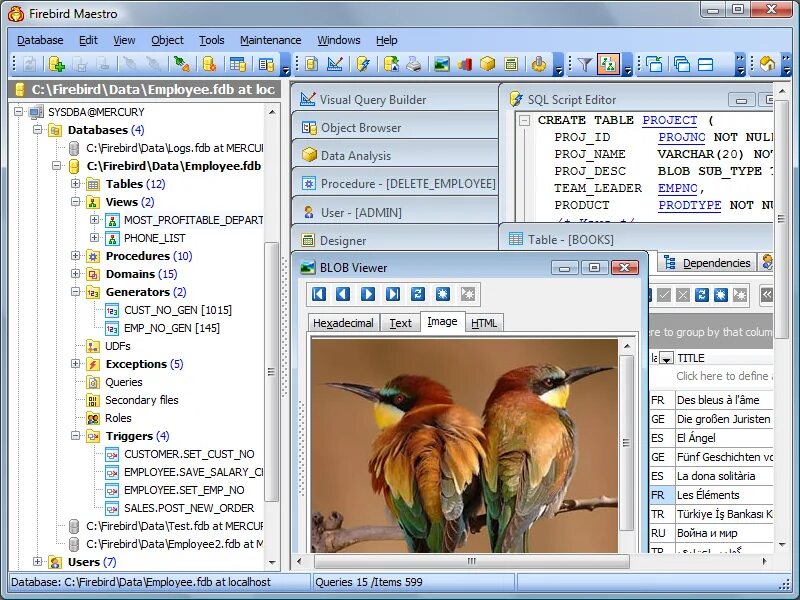 Бд firebird. Firebird субд. база данных фаерберд. программы базы данных firebird. firebird maestro.