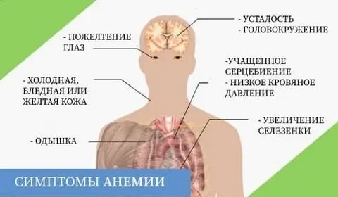 Зуд при анемии
