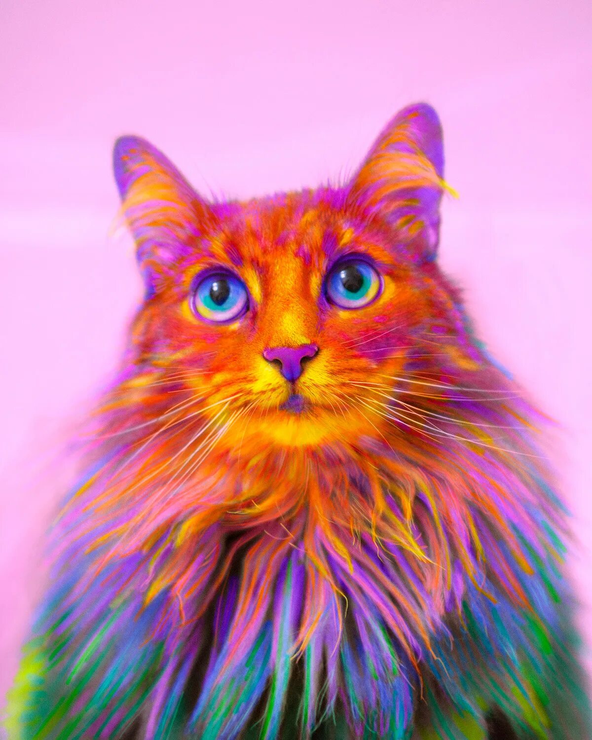 Радужные котики. Кошки цветные. Разноцветные коты. Многоцветная кошка. Радужка кошки
