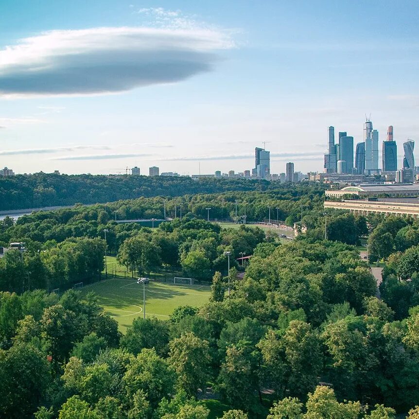 Экология г москвы. Озелененные территории Москвы. Московский зелёные зоны. Москва зеленый город. Экология района Царицыно.