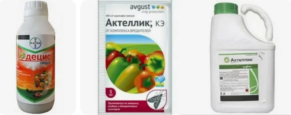 Актеллик инсектицид цена. Syngenta Актеллик. Актеллик КЭ 2 мл. Актеллик 50 EC. Актеллик АГРОСАД.