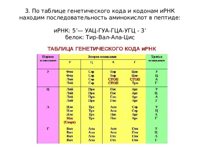 Из днк в ирнк таблица. Таблица генетического кода ТРНК. Таблица генетического кода ИРНК 5 -3. Таблица кодонов РНК. Таблица аминокислот по ИРНК ЕГЭ.