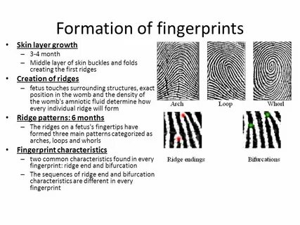 Fingerprinting javascript
