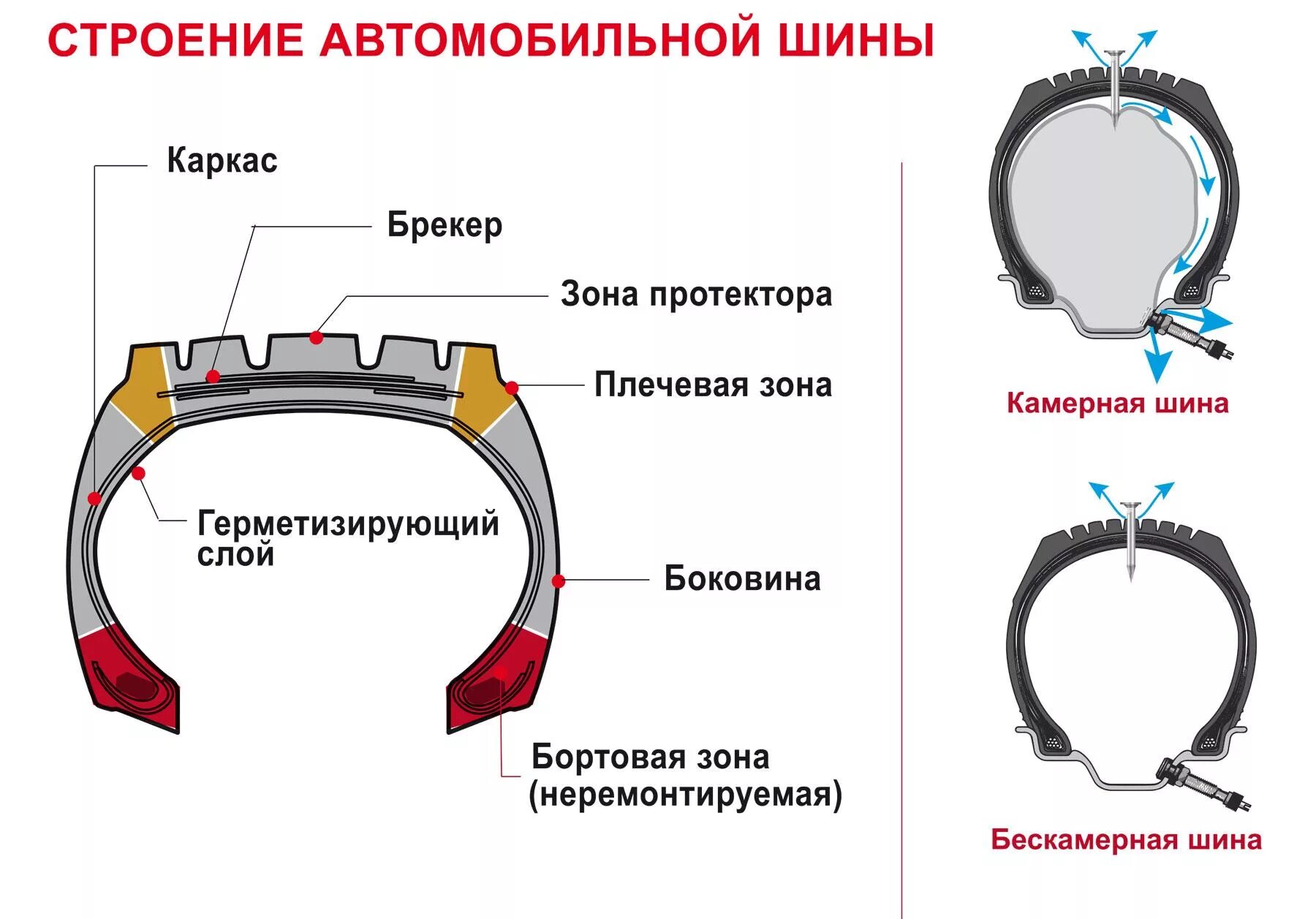 Колесо состоит из шины. Схема устройства автомобильной шины. конструкция шины колеса автомобиля. схема устройства бескамерной шины. из чего состоит автомобильная покрышка.