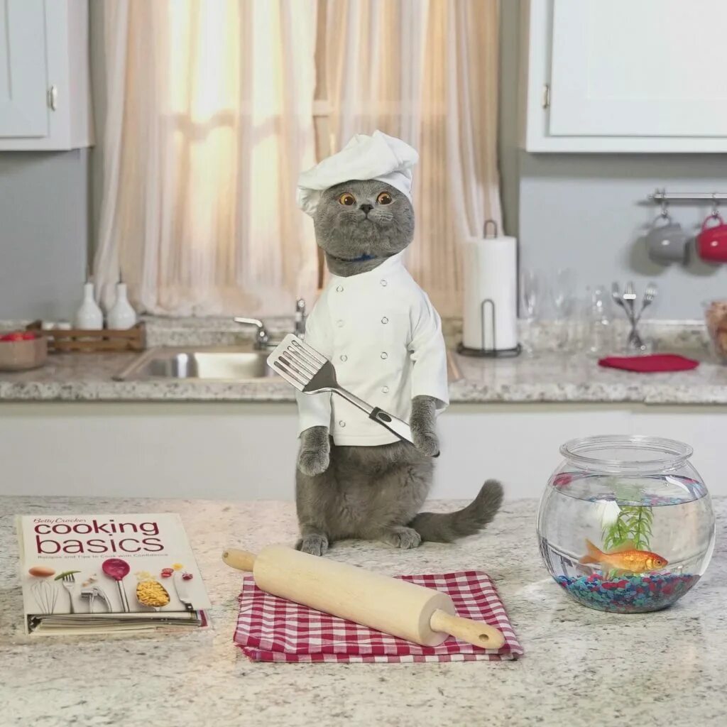 Cooking cat. Приключения кота Майкла. Приключения кота Майкла 2017. Кот шеф-повар игрушка.