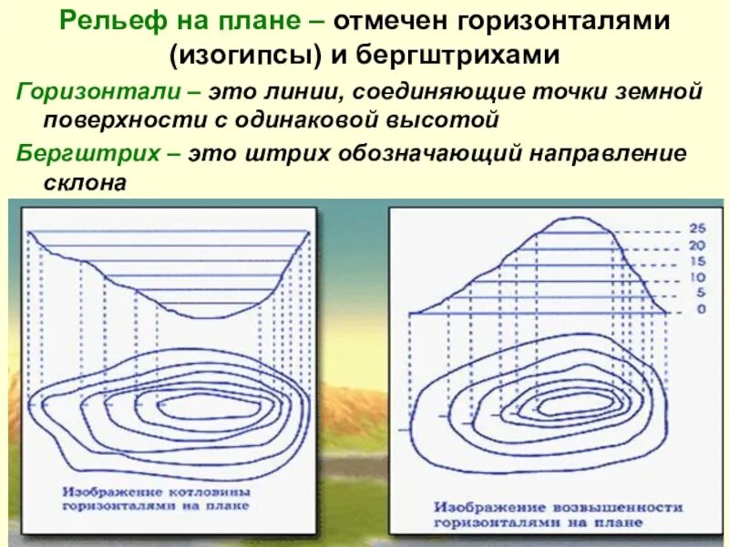 Как называется условная линия на земной поверхности