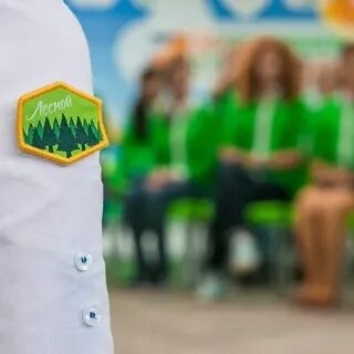 Артек лесной отряд