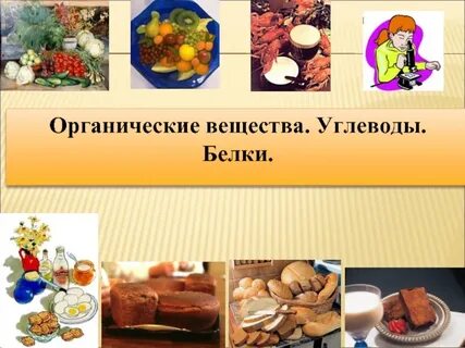 Органические вещества углеводы белки
