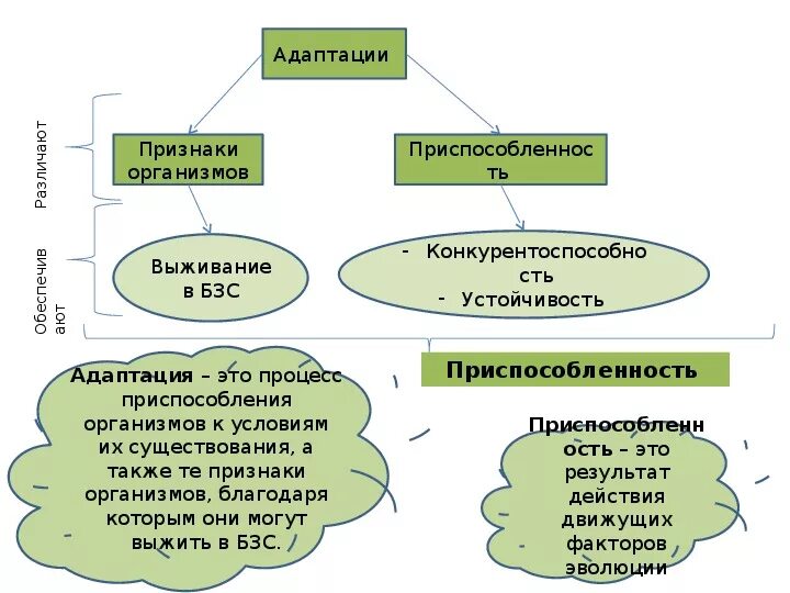 Приспособительные особенности строения тела. Приспособительные особенности поведения. Приспособительные особенности окраски тела. Приспособительные формы организмов таблица.