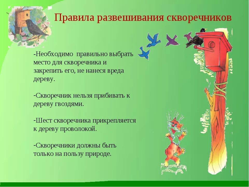 Описание скворечника. Проэкт на тема скворечник. Скворечник процесс изготовления. Описание скворечника. Проект скворечник.