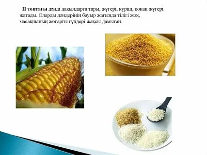 Woodman порно клиптер