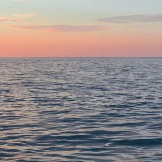 Спокойным морем род