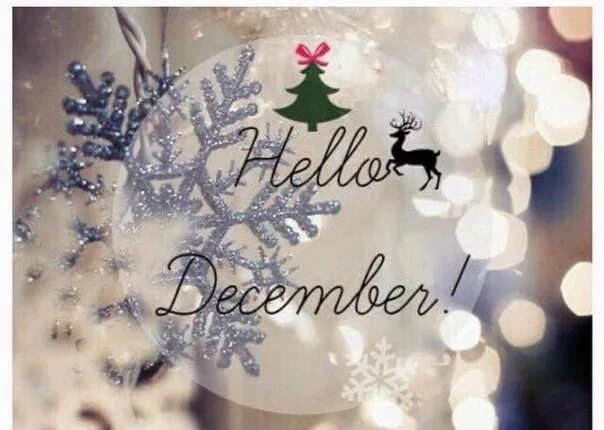 Особенный декабрь. Привет декабрь. надпись hello december. привет декабрь надпись. привет декабрь картина.