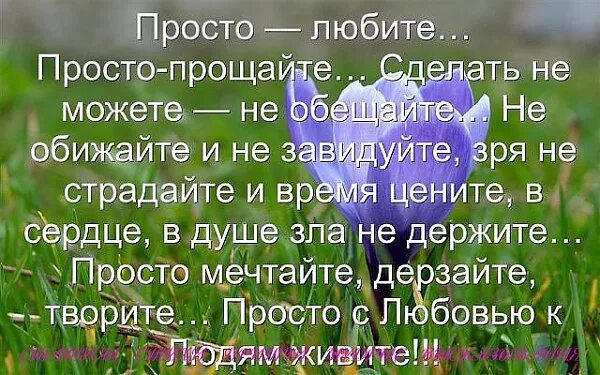 Просто любите просто Прощайте стихи. Просто живите просто Прощайте. Просто любите просто Прощайте сделать не можете не обещайте. Просто мечтайте, дерзайте, творите… Просто с любовью к людям живите!. Просто так любить просто так простить песня