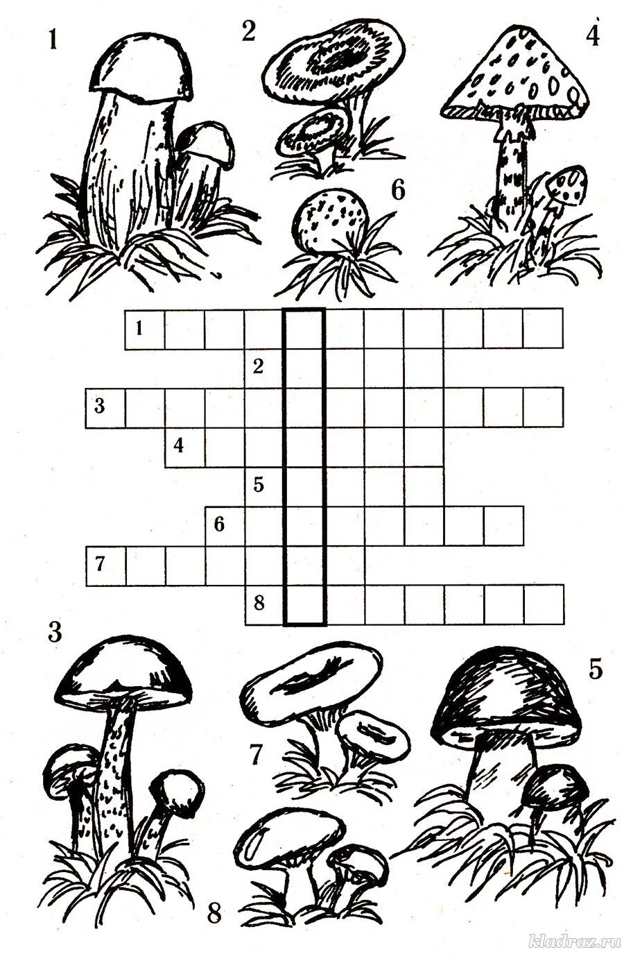 Составить кроссворд грибы. Кроссворд про грибы для детей. Грибы задания для дошкольников. Задания о грибах для начальной школы. Задания по теме грибы для детей начальной школы.