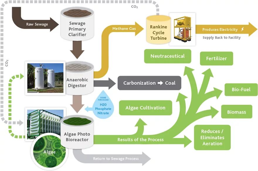 Energy process. Biofuel Prosecc. Биотопливо схема. Схема производства биодизеля. Биодизель из водорослей схема.