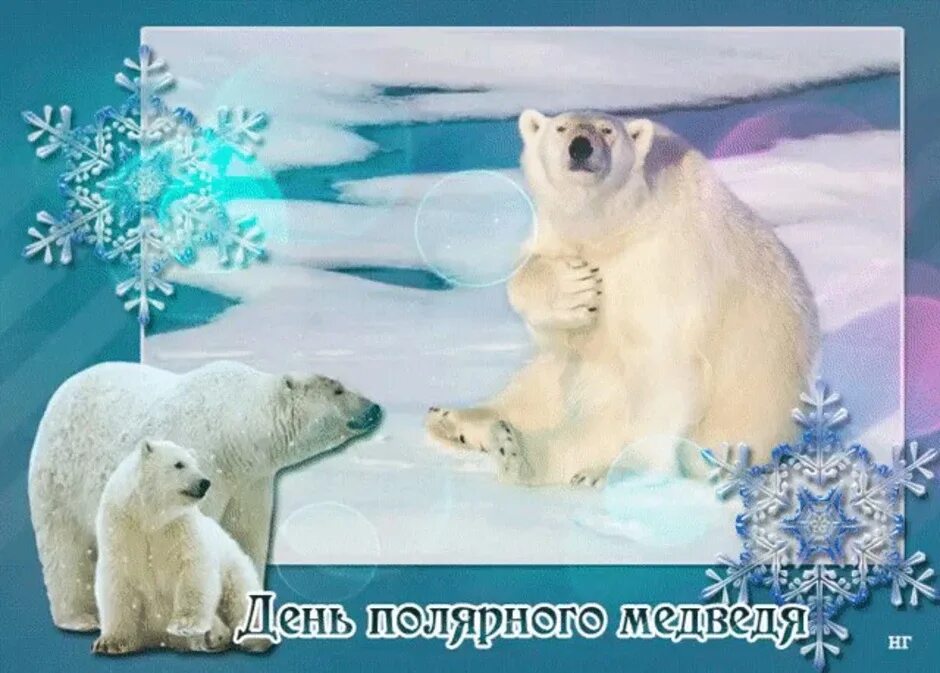 27 февраля день полярного медведя. День полярного медведя видео. День полярного медведя видео. 27 февраля день полярного медведя. 27 февраля день полярного медведя.