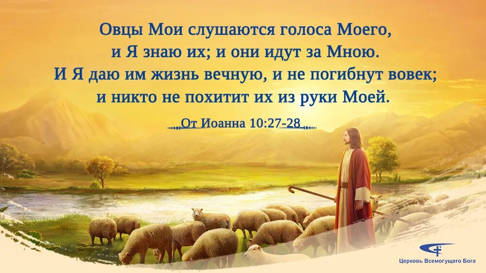 Притча о праведной земле