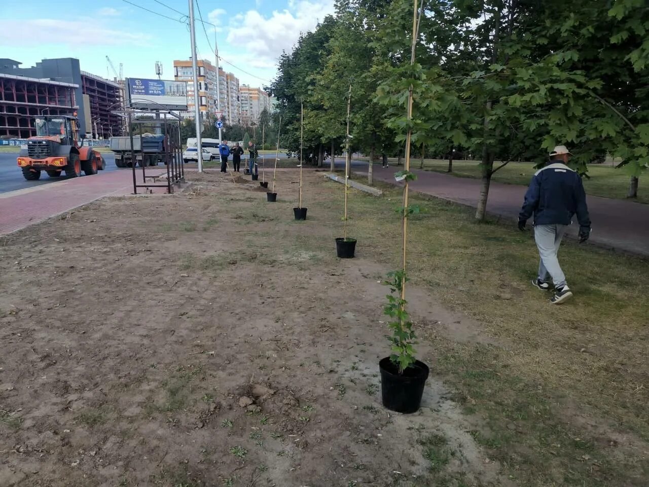Уборка снега с территории. Улица авиационная 17 брянск. Массовая высадка деревьев. Фосфоритная дом 17. Мировой 17 брянск.