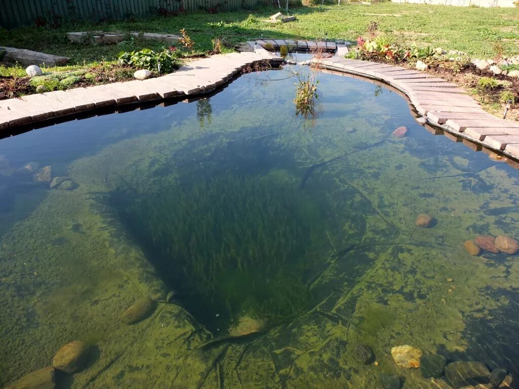 Строим водоемы. Искусственный водоем для разведения рыбы. Искусственное озеро. Пруды для рыбоводства. Искусственные волоемы лля ращведение рыб.