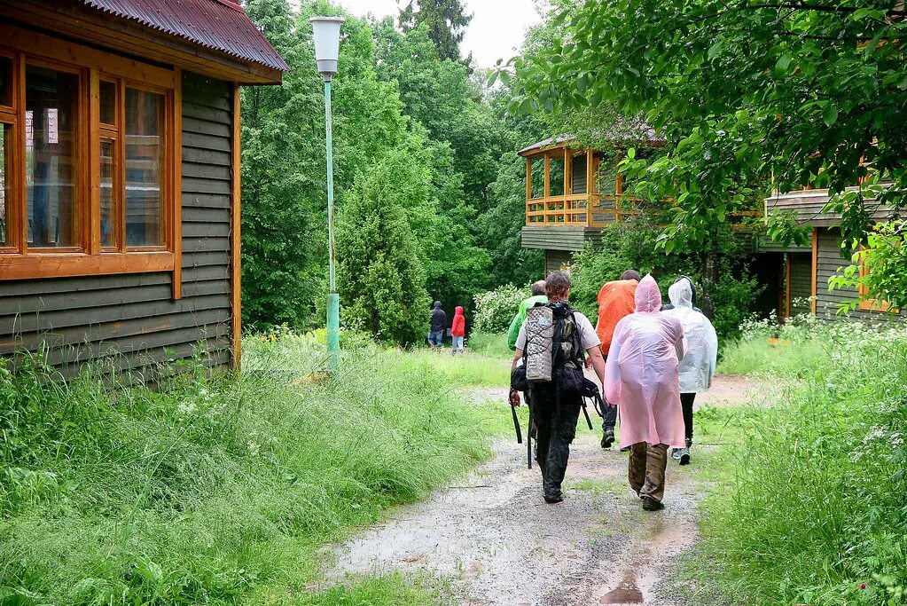 Биостанция мгу. Биологическая станция мгу звенигород. звенигородская биостанция мгу. биостанция мгу в звенигороде экскурсии. красновидово биостанция мгу.
