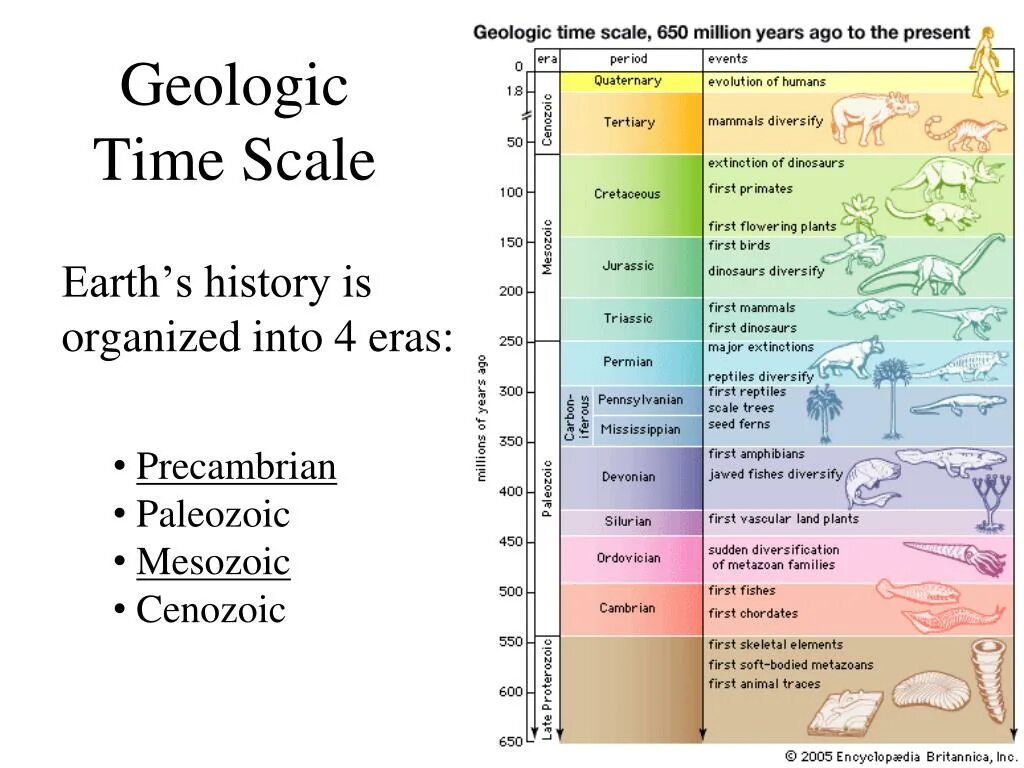 Time scaling. Геохронологическая шкала. geologic time scale. геохронологическая шкала жизни. геохронологическая шкала таблица.