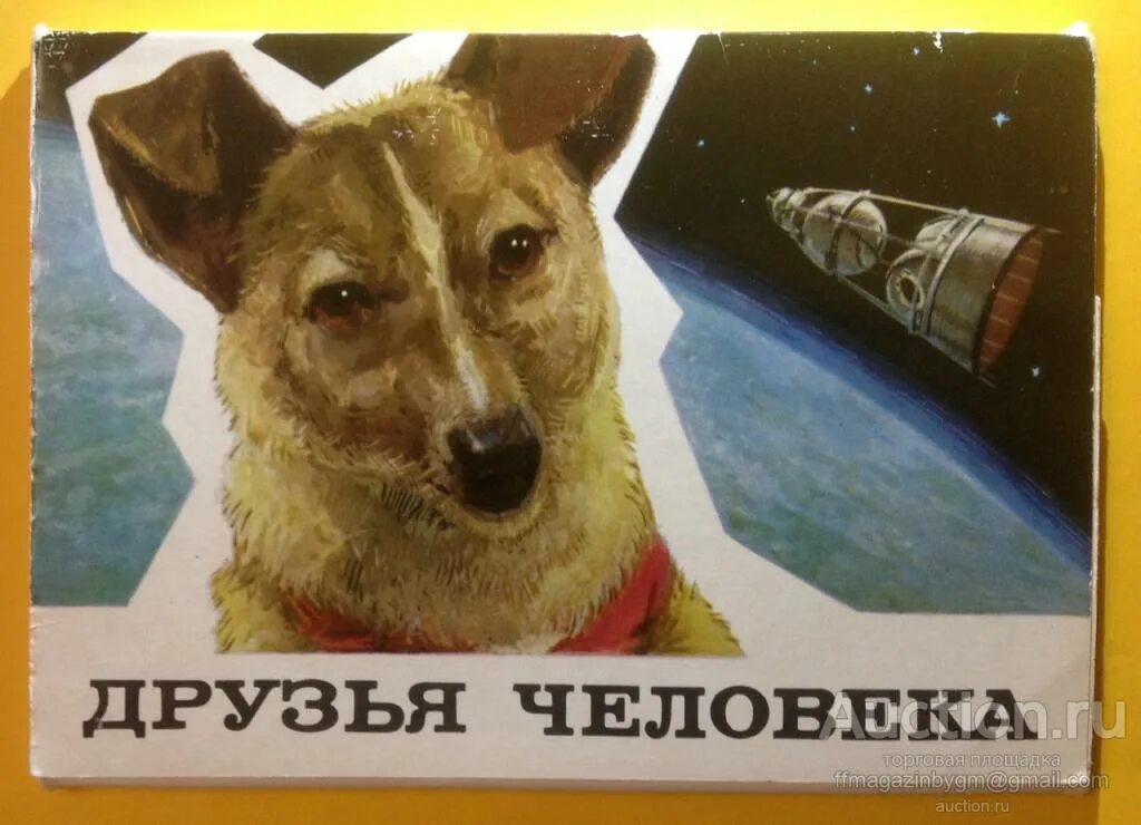 Собаки и другие люди аудиокнига слушать. Собаки набор открыток. плакаты с собаками. плакат собака друг человека. советские плакаты с собаками.