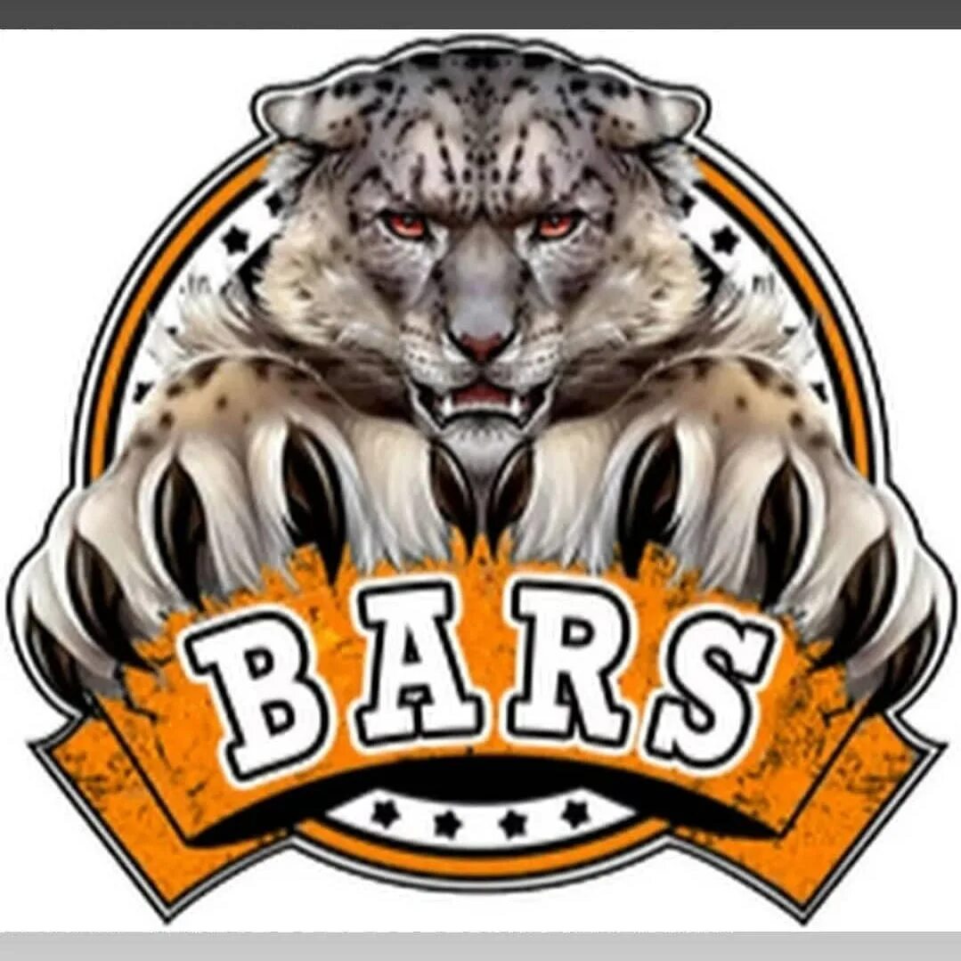 Барс логотип. Снежный Барс эмблема. Логотип Барсы животного. Надпись Барс. Плакат защита барса