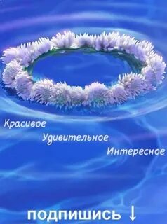 Плывет веночек ремикс