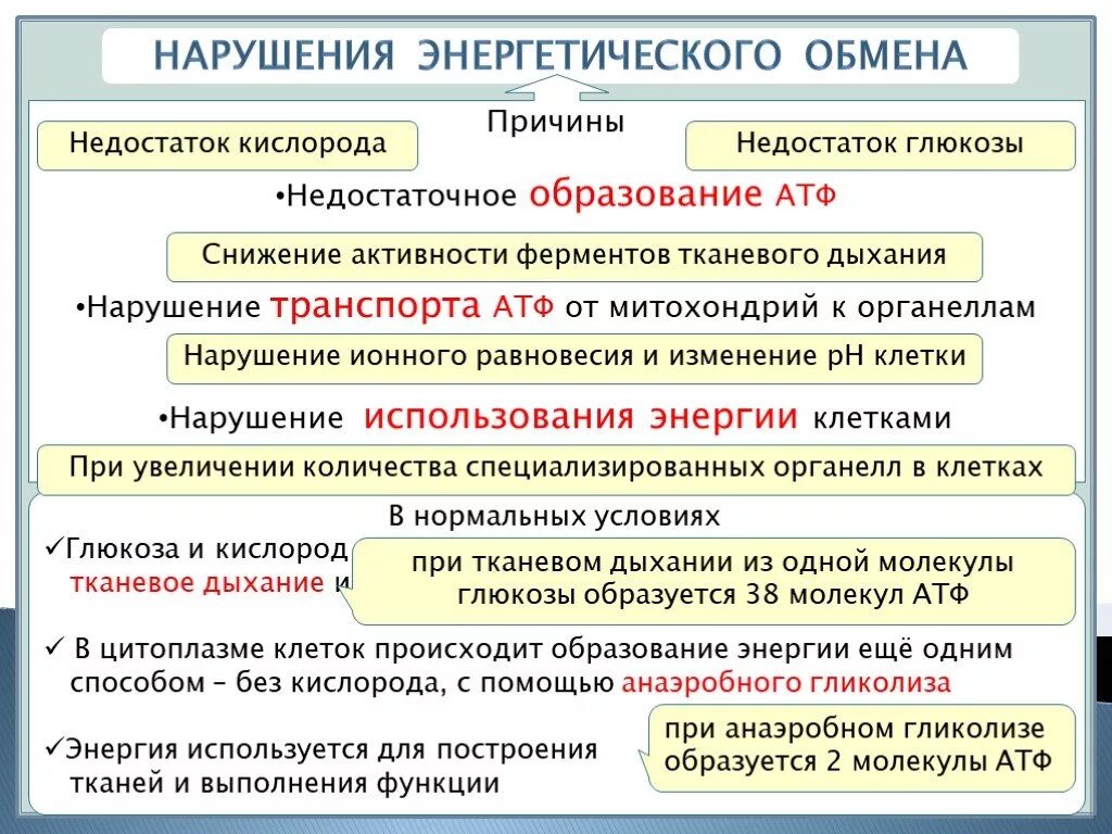 Организм живущий только при отсутствии кислорода. Основные нарушения энергетического обмена. Нарушение основного обмена патология. Причины нарушения энергетического обмена. Нарушение энергетического обмена на стадии образования энергии.