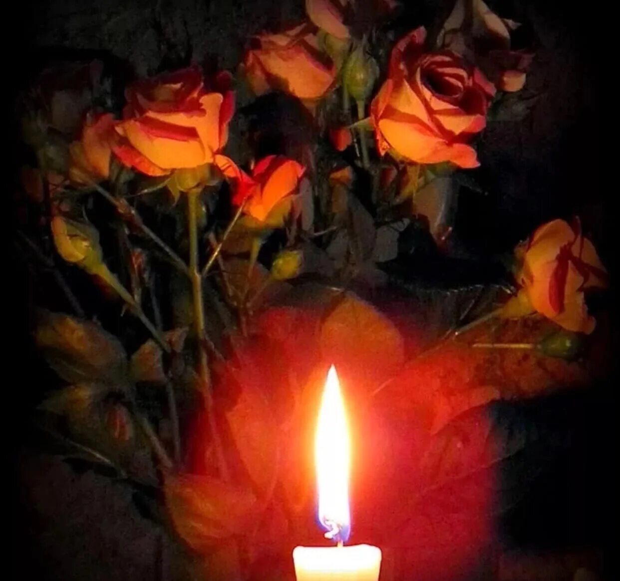 Свеча скорби. Светлая память. Светлая память свеча. Свеча памяти и цветы. Поминальная свеча памяти