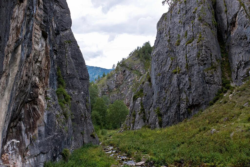 Каменные грибы алтай чулышманская долина. Каменные грибы аккурум алтай. Чулышманская долина каменные грибы. Каменные грибы аккурум алтай. Каменные грибы телецкое озеро.