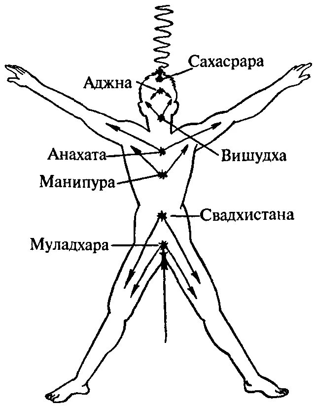 Тело управляет человеком. Движение энергии в теле человека. Движение энергии в теле человека схема. Чакры и энергетические потоки. Чакры энергетические вихри.