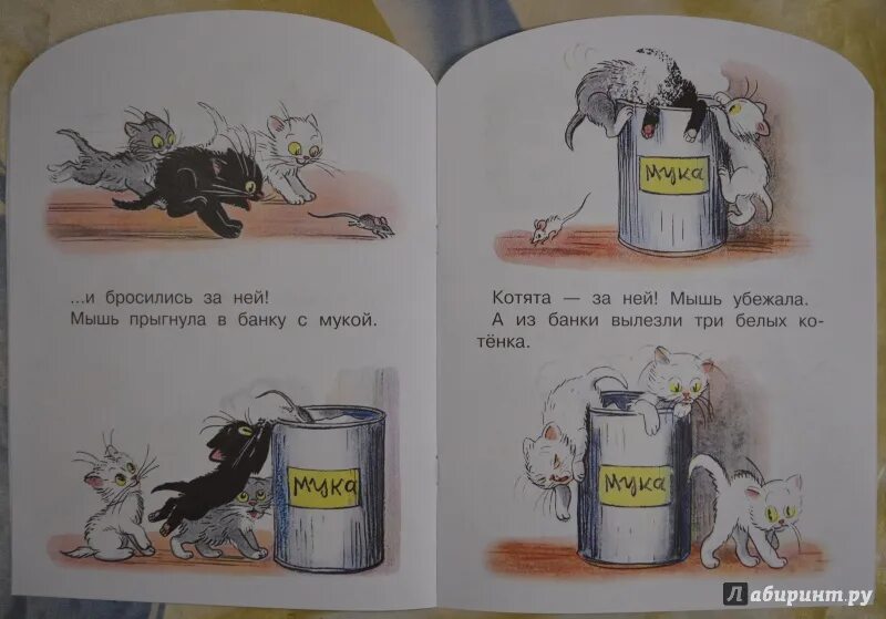 Федин котенок 3 полностью. Книга Сутеев три котенка. Три котёнка книга.