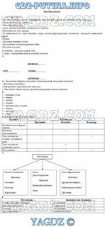 Внешнее строение моллюсков лабораторная работа 8 класс