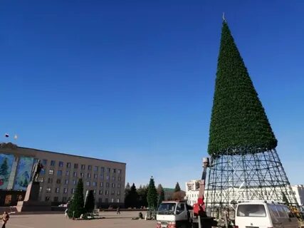 Ели ставрополь