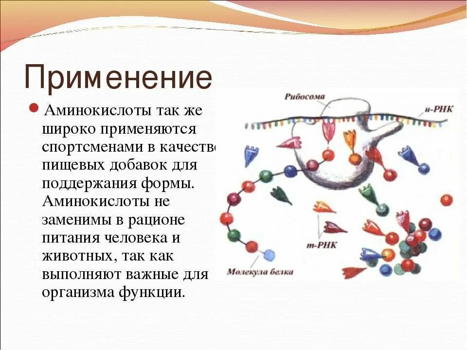 Клетки состоят из аминокислот. Применение аминокислот. Применение аминокислот и белков. Дефицит аминокислот. Аминокислоты в медицине кратко.