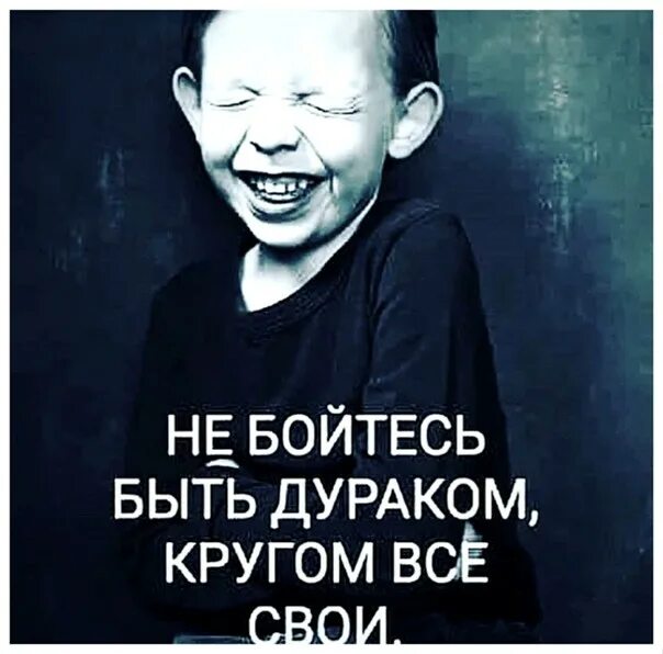 Как не быть дураком. Не бойся быть дураком вокруг все свои. вокруг дураки. не бойся быть ... кругом все свои. не бойся быть дураком.