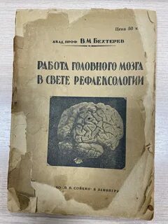 Бехтерев мозг
